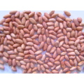 High Quality Peanut Kernel 28/32